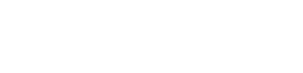 Vein Vitae Clínica Vascular